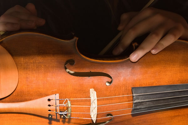 WCYO Musician