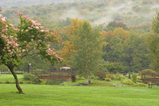 Frost Valley